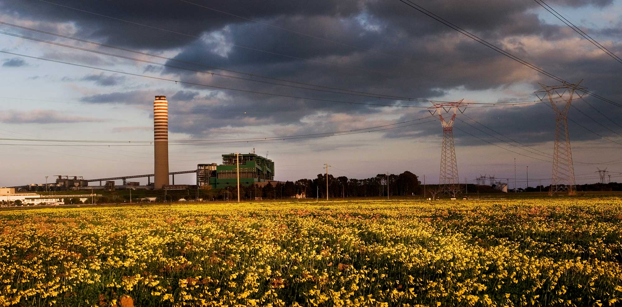 Design Planet | Enel