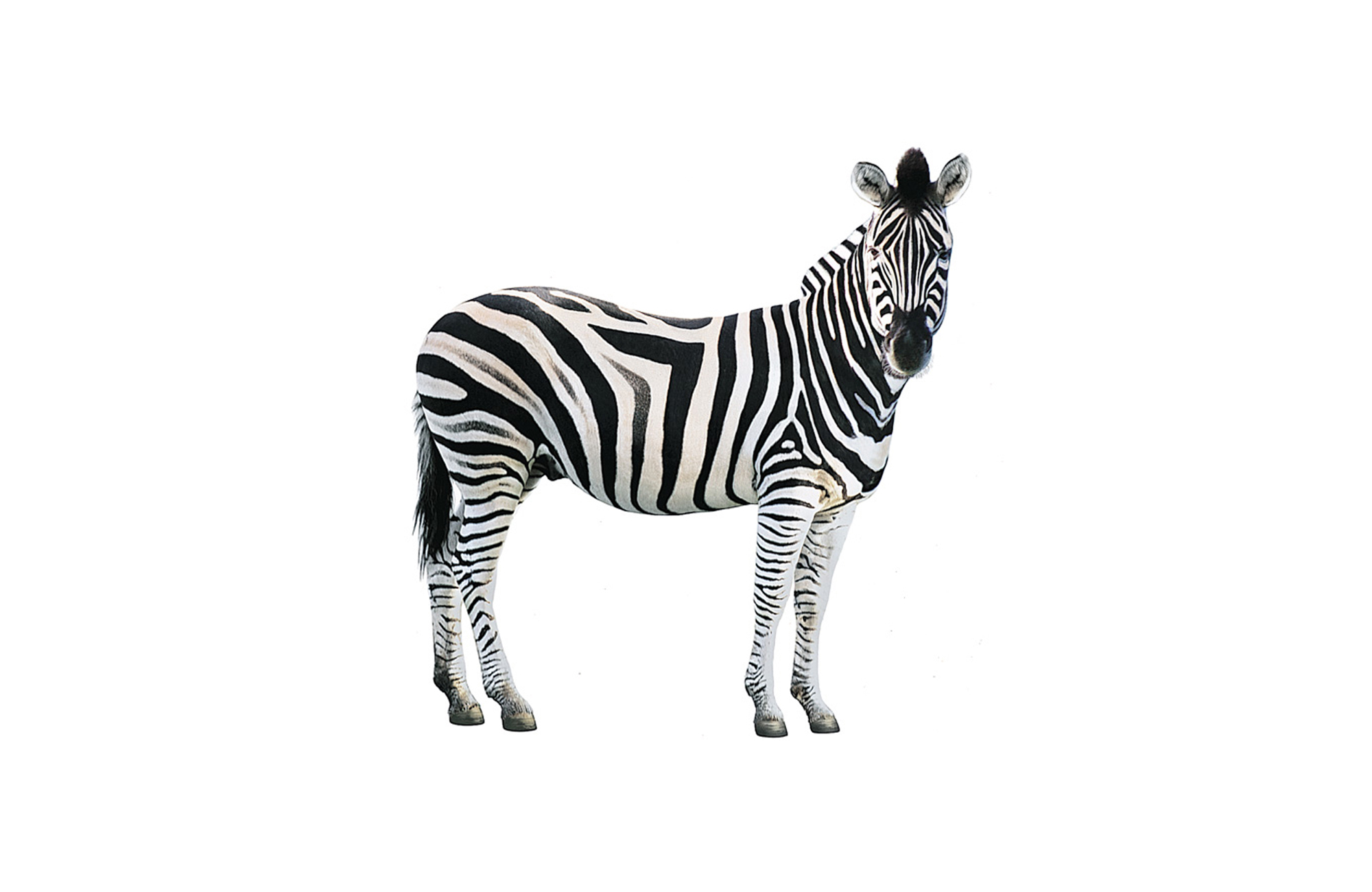 Design Planet | Seven