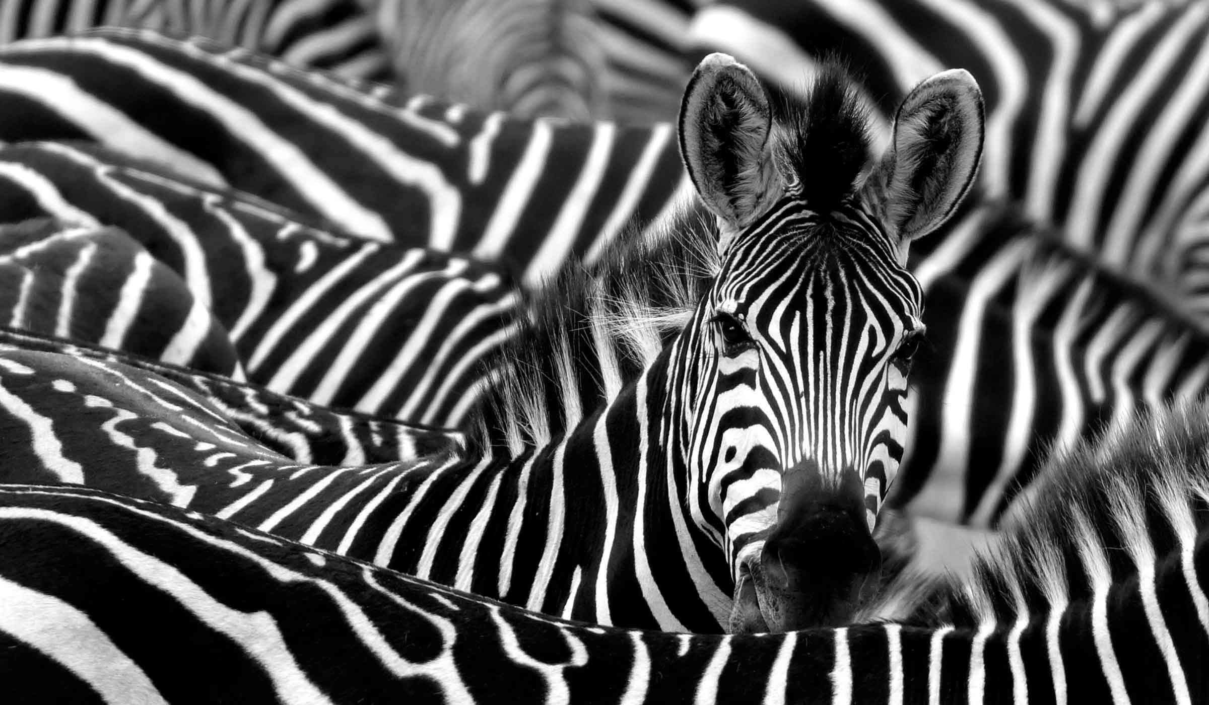 Design Planet | Seven